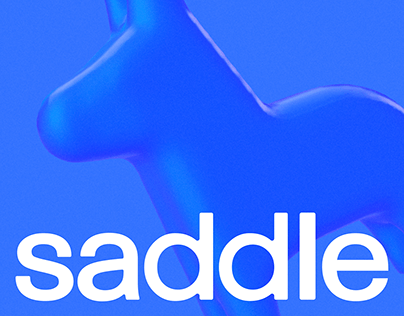 Saddle: Branding & Website