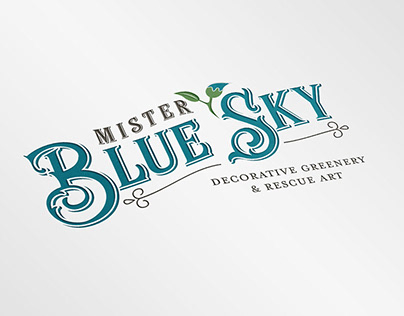 Mister Blue Sky Logo Design
