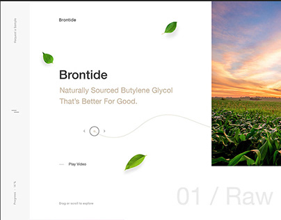 Brontide | Created in Adobe XD