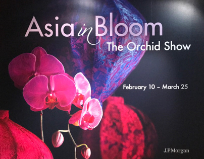 Chicago Botanic Gardens: Asian in Bloom