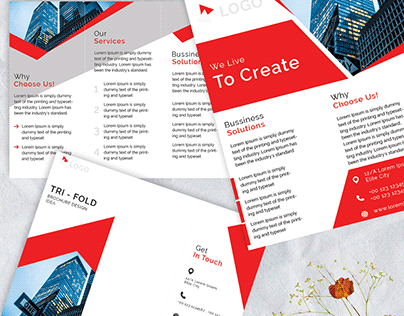 Brochure/ Trifold