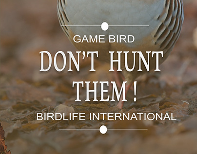 Bird awareness campaign Standees