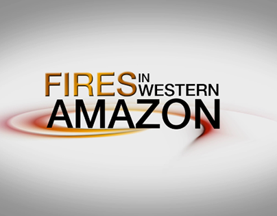 FIRES IN THE AMAZON LOGO