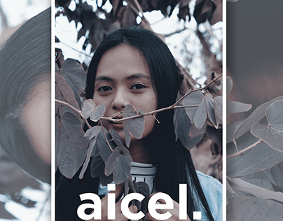 2016 Archives with Aicel