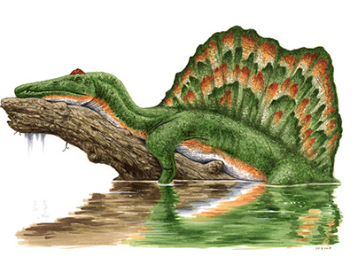 Dinosaur Illustrations 2