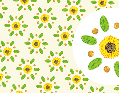 Girassol de setembro / Sunflower in Setember
