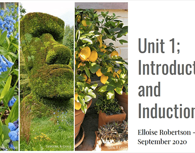 Unit 1: Introductions and Inductions