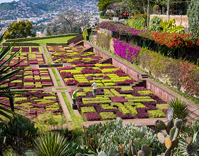 Botanical Gardens, Funchal
