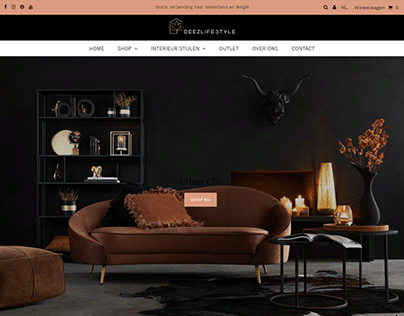 A Beautiful Shopify Web Design using Testament Theme