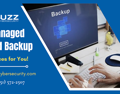 Secure Your Business Data with Us