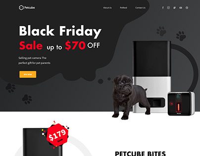 Landing Page for Petcube Black Friday