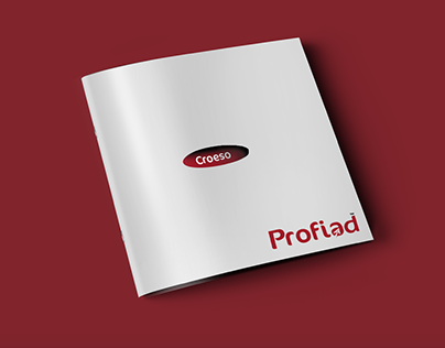 Profiad Airline -concept brief from Dirty Little Serifs