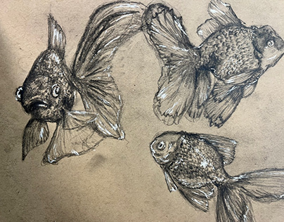 Goldfish- animal study