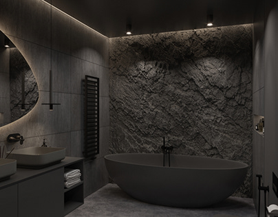 Gray bathroom. With a decorative stone wall.