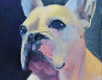 "French Bulldog", 12"X16", oil on canvas
