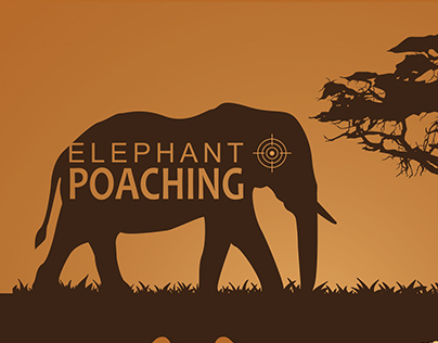 Elephant Poaching Infographic