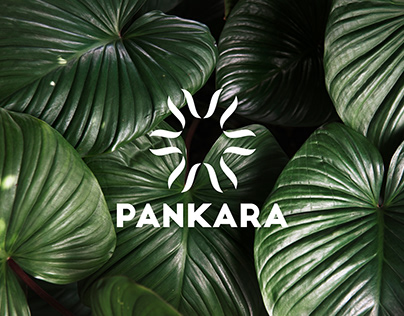 PANKARA. Branding & Packaging