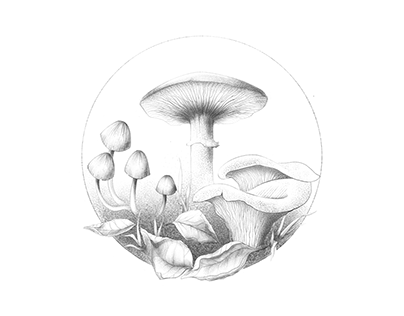 Ilustración Botánica #01