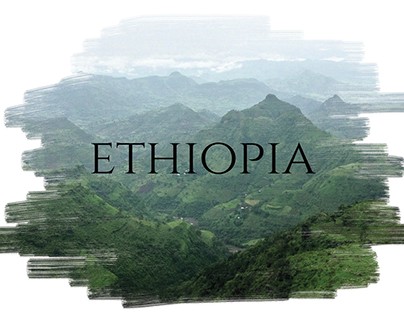Ethiopia Country Snap Shot