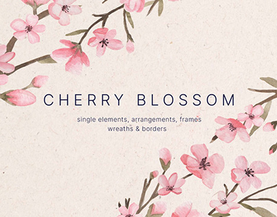 Cherry Blossom Watercolor Design Elements