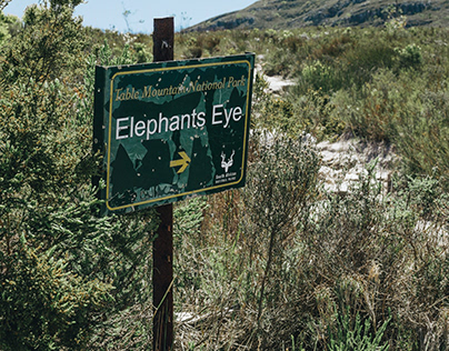 Silvermine - Elephants Eye