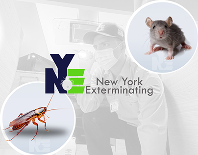 New York Pest Control