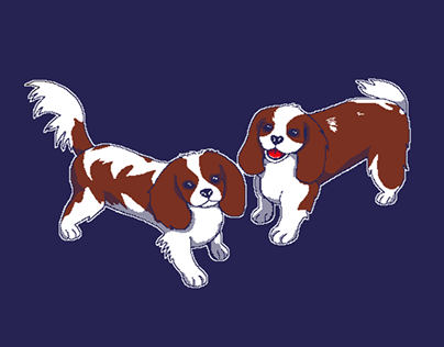 Pixelart of clients' dogs for blankets