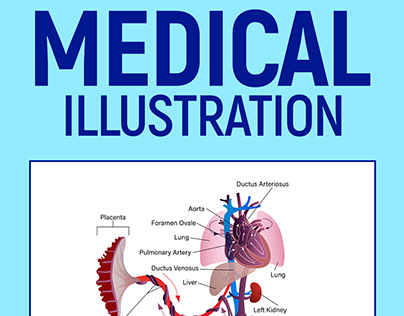 Medical Illustration