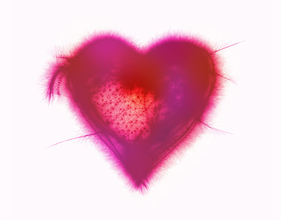 Heart (pink version)