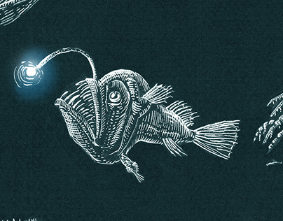 Scientific illustration: deep sea fauna