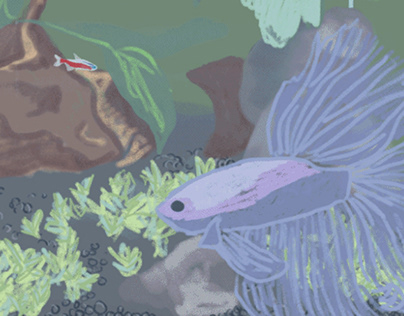 Fish Animation Study