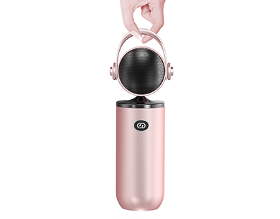 Baby Singer Microphone