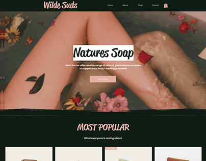 Wilde Suds Website Design