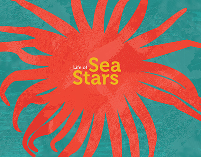Life of Sea Stars