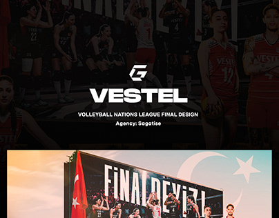 Vestel VNL Final Design