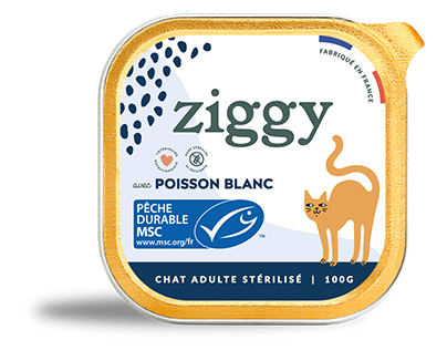 Ziggy - Packagings pâtées