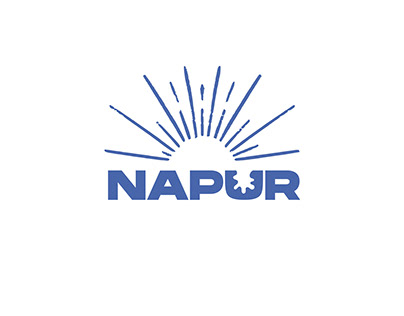 Identity Design for Napur Gin