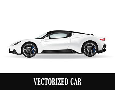 Vectorized car