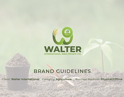 Walter International | Logo Design | Brand Guidelines