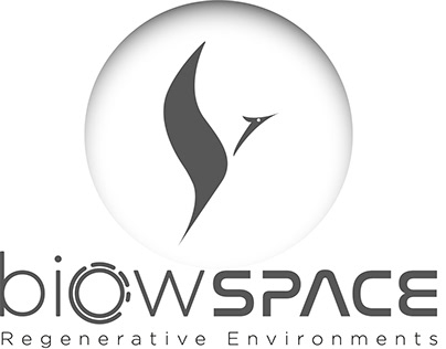Biow Space Logo Design