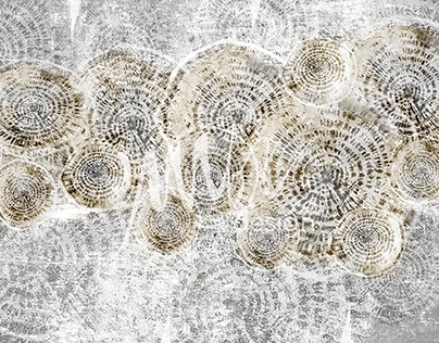 wallpaper beige ammonite