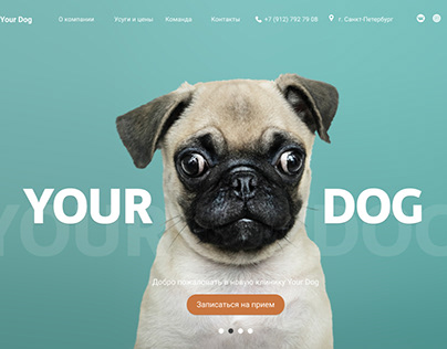 Landing page for Veterinary clinic Your Dog