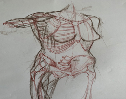 Lezioni di anatomia artistica