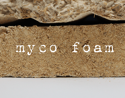 Myco Foam