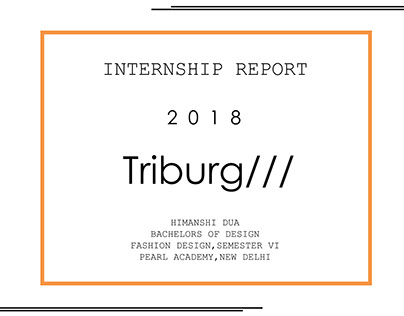 INTERNSHIP REPORT-TRIBURG