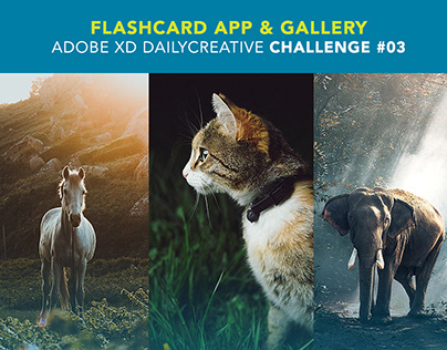 Adobe XD Daily Creative Challenge #03 | Photo Gallery