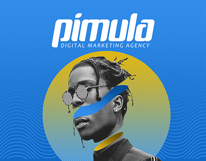 Pimula Agency - Social media theme 2018