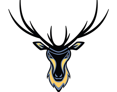 Elk Sports Logo from Start to Finish