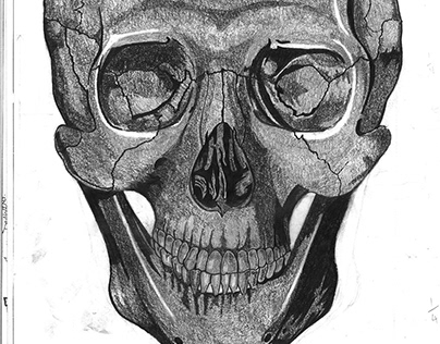 Human Anatomy Front Skull Drawing