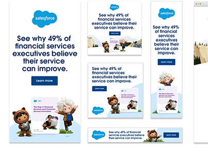 Salesforce Campaign Package